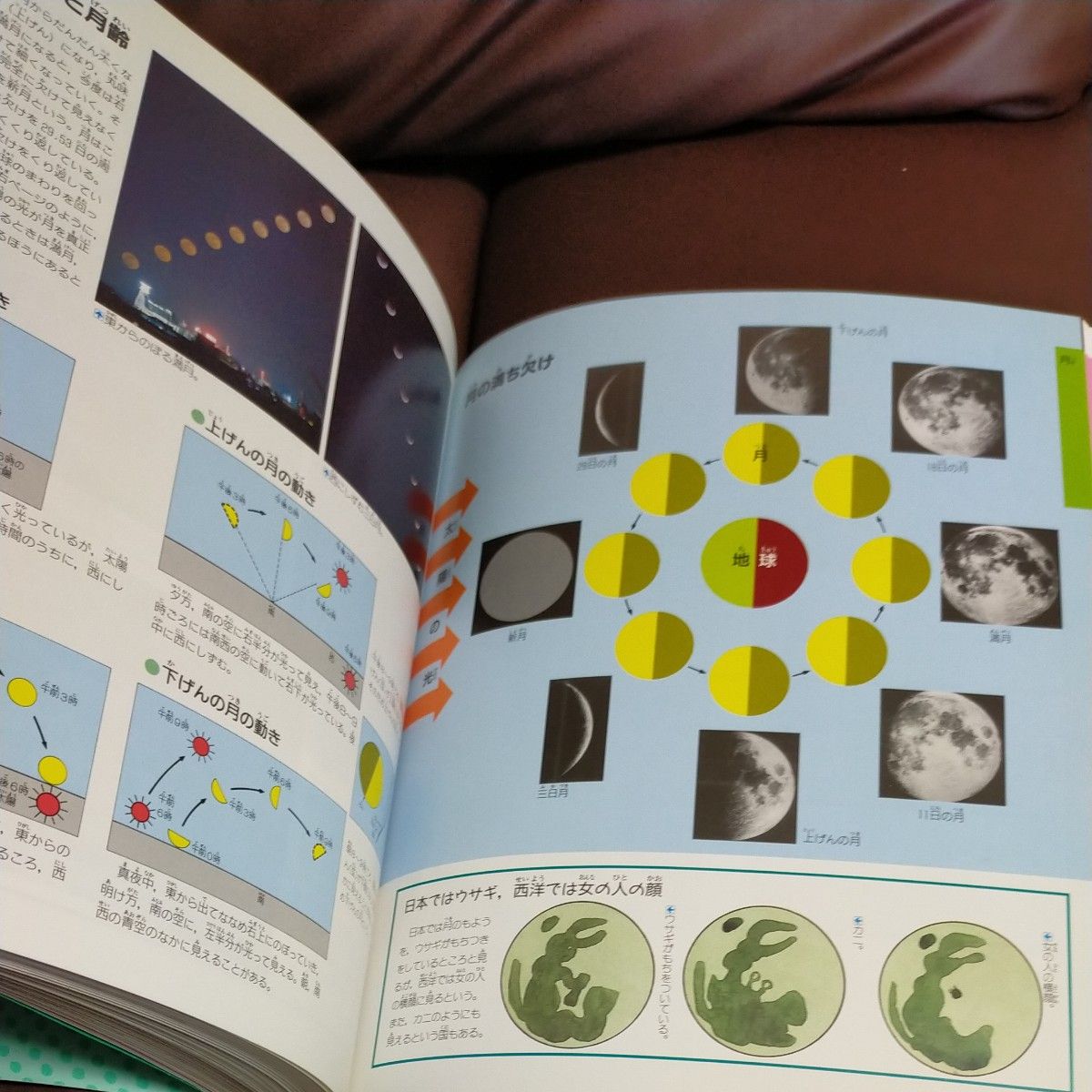 ジュニア自然大図鑑エコロ［特装版］動物・昆虫・魚・鳥・植物・地球・宇宙・人体  ／学研 ビニールカバーつき