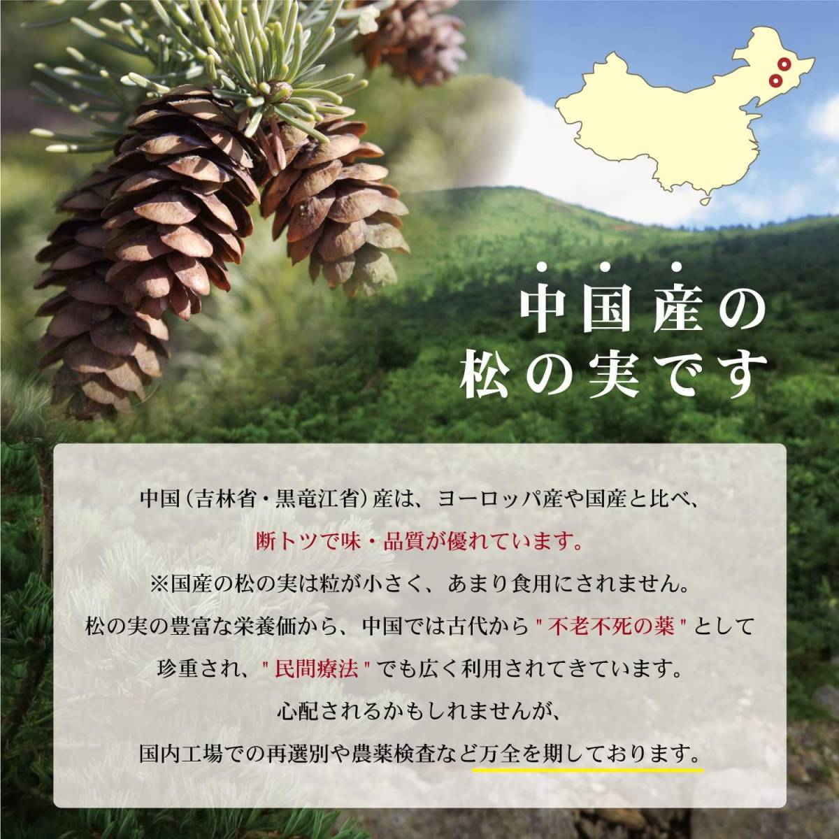 食べ比べセット　松の実100g+特級100g　スーパーフード　陸の牡蠣　無添加 無農薬　製菓材料 薬膳 ミネラルと食物繊維が豊富_画像9