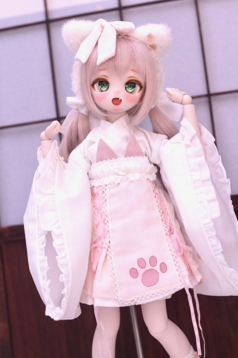 【船長】DDH-01 (SW肌) カスタムヘッド +アイ1種の画像7