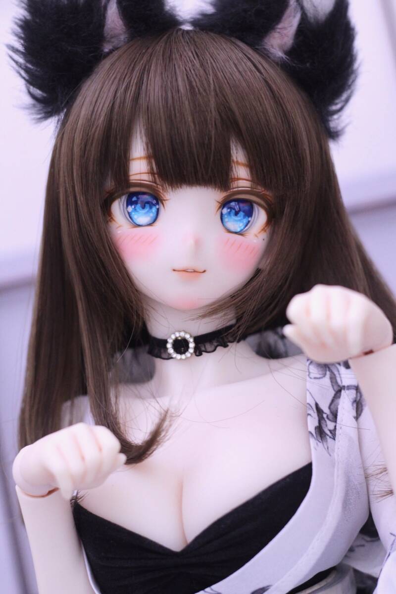 【船長】DDH-06 (SW肌) カスタムヘッド + アイ1種_画像2