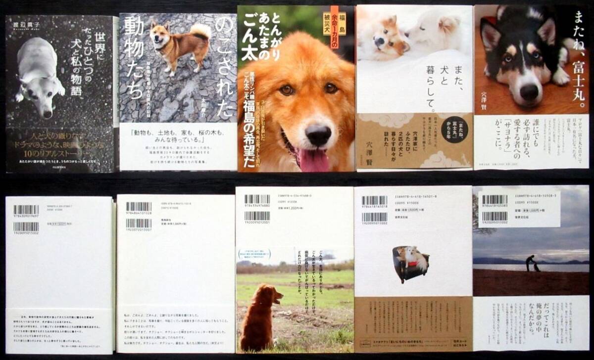 『 犬 エッセイ / 小説 34冊 』＊星守る犬. 犬が伝えたかったこと. 少年と犬. 昭和の犬. 世界にたったひとつの犬と私の物語. 犬心の画像10