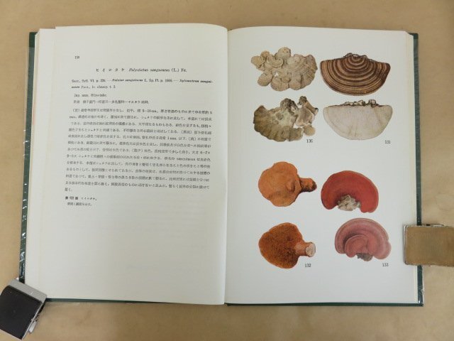 . color Japan . kind illustrated reference book no. . volume river . Kiyoshi one manner interval bookstore 