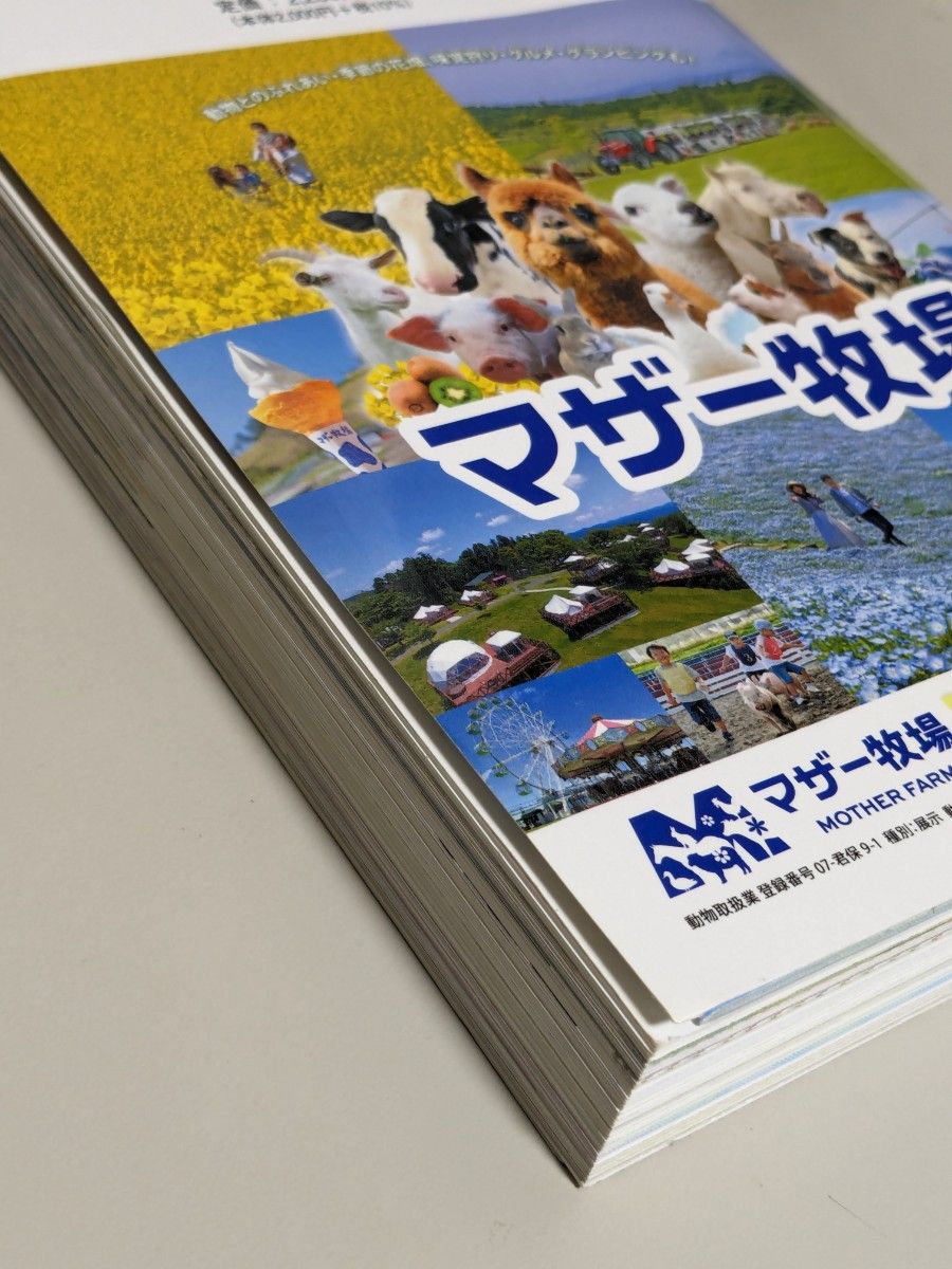 地球の歩き方 千葉　Ｊ０８ （２０２３～２０２４年版） 地球の歩き方編集室／編集