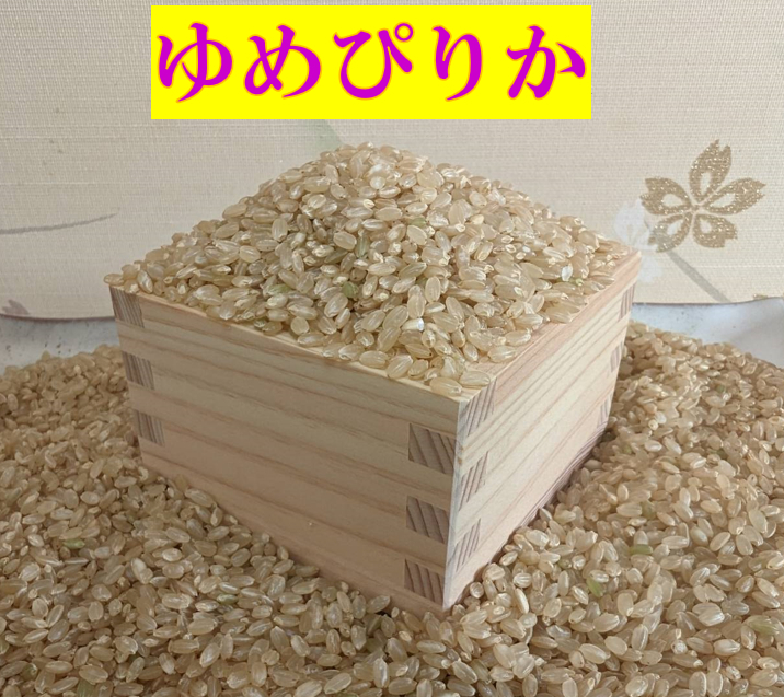 【送料無料】ゆめぴりか　１等米　玄米24キロ　特A北海道米　令和５年産　農家直送_画像2