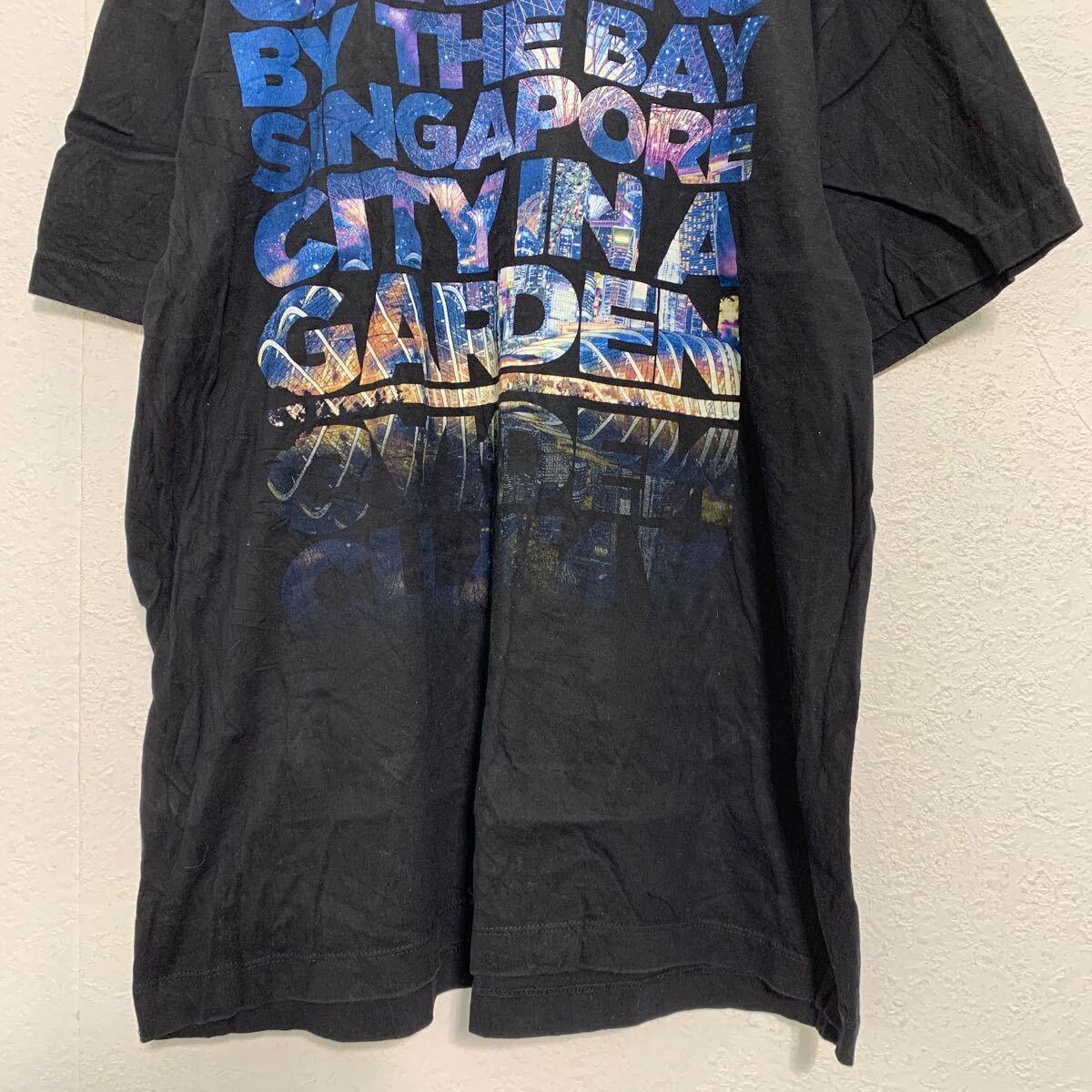 Gardens by the Bay 半袖 プリントTシャツ XL ブラック ブルー パープル ビッグサイズ シンガポール 古着卸 アメリカ仕入 a604-5812_画像3