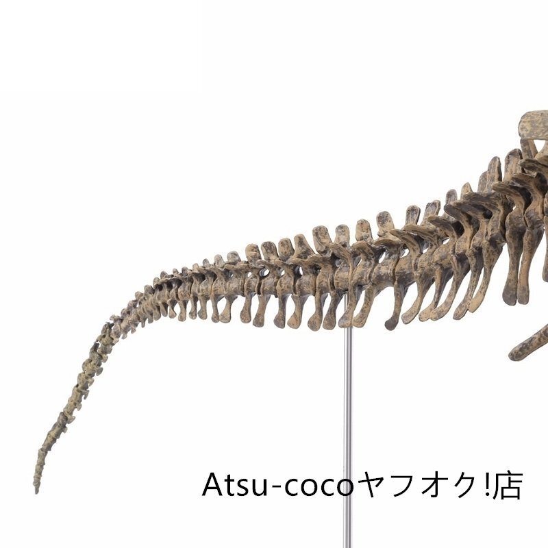 70cm ティラノサウルス レックス ジュラシック 大恐竜 化石 骨 モデルキット プラモデル キット 組み立て式_画像4