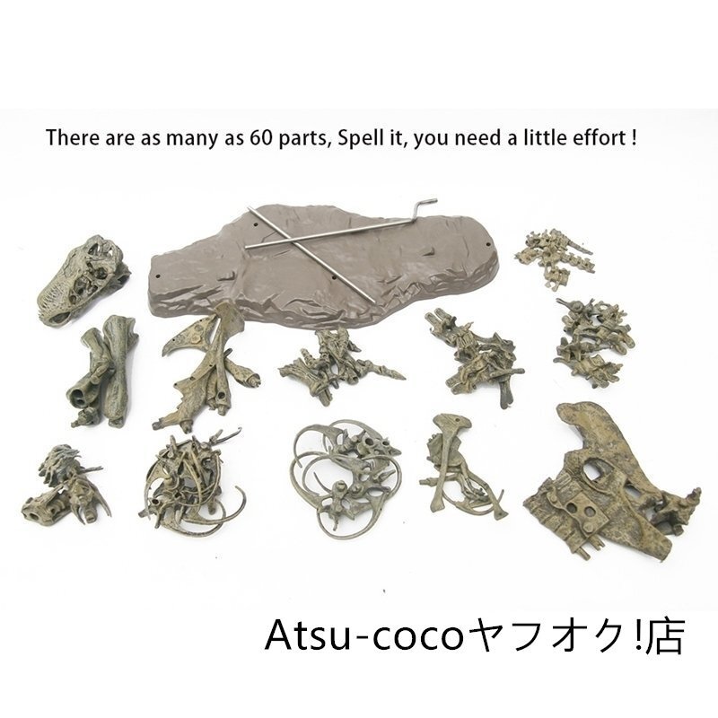 70cm ティラノサウルス レックス ジュラシック 大恐竜 化石 骨 モデルキット プラモデル キット 組み立て式_画像2