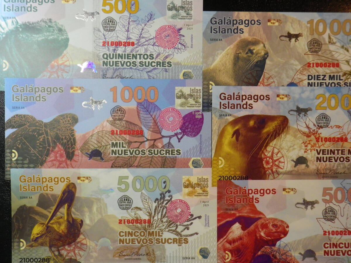 ガラパゴス諸島 2021年 ポリマー 6種6枚 未使用 (ファンタジー）海カメ、ゾウカメ、海イグアナの画像4