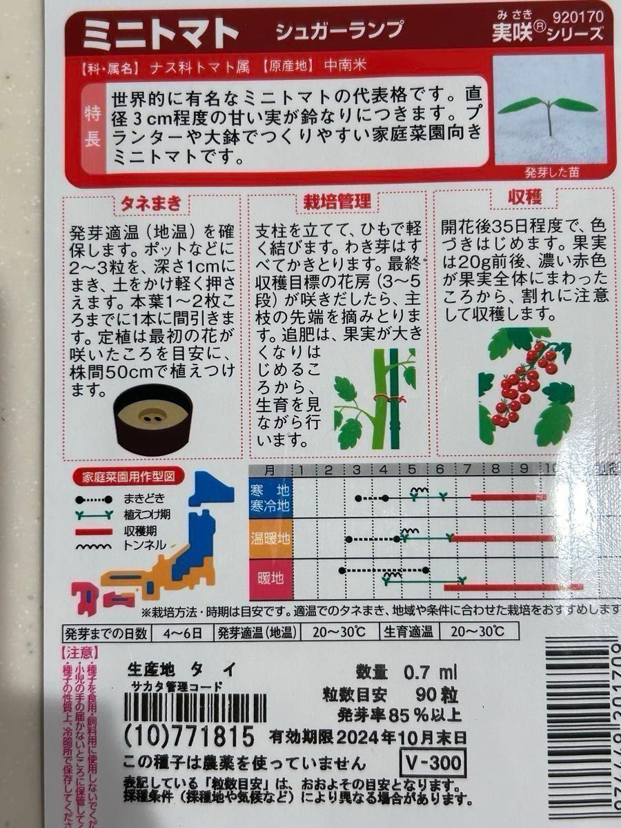 家庭菜園おすすめ野菜苗　ミニトマト大苗7株おまけ＋1株付き