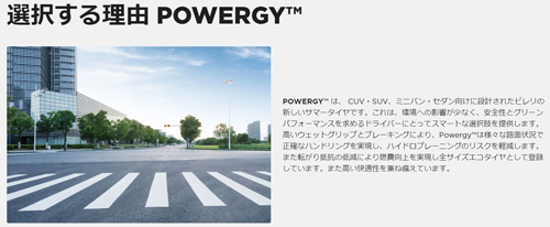 285/50R20 116V XL 1本 ピレリ POWERGY パワジー SUV_画像2