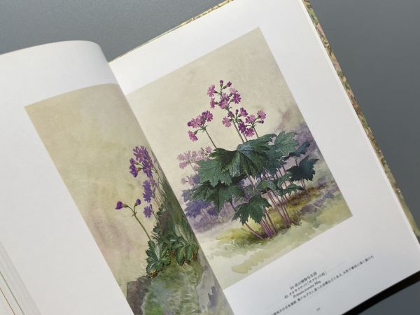 五百城文哉展　甦る明治の洋画家　咲き競う百花百草　東京ステーションギャラリー 2005年_画像4