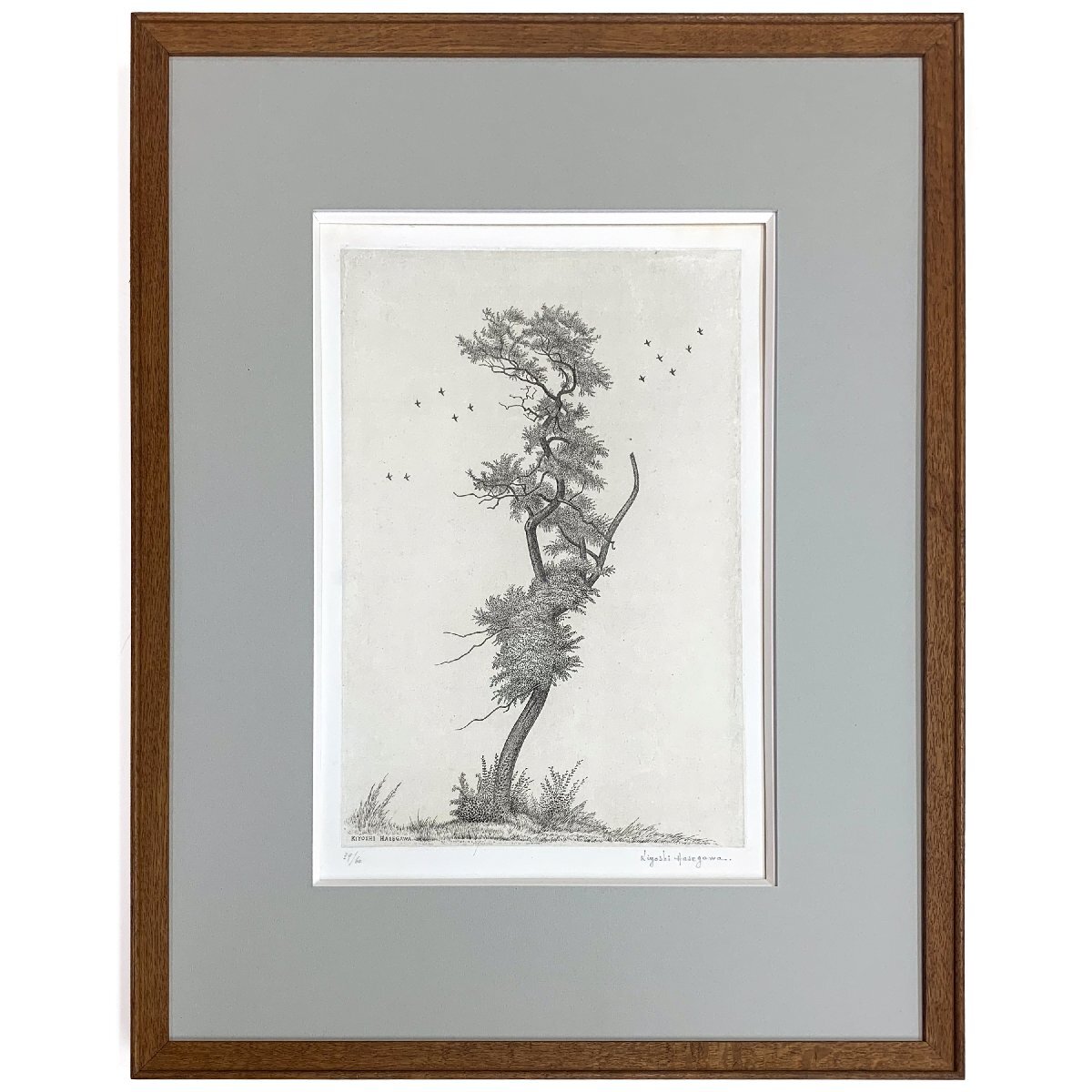 【SHIN】長谷川潔「アカシヤの老樹」銅版画 オー・フォルト ed.39/60 1954年作 額装 真作保証 Kiyoshi Hasegawaの画像1
