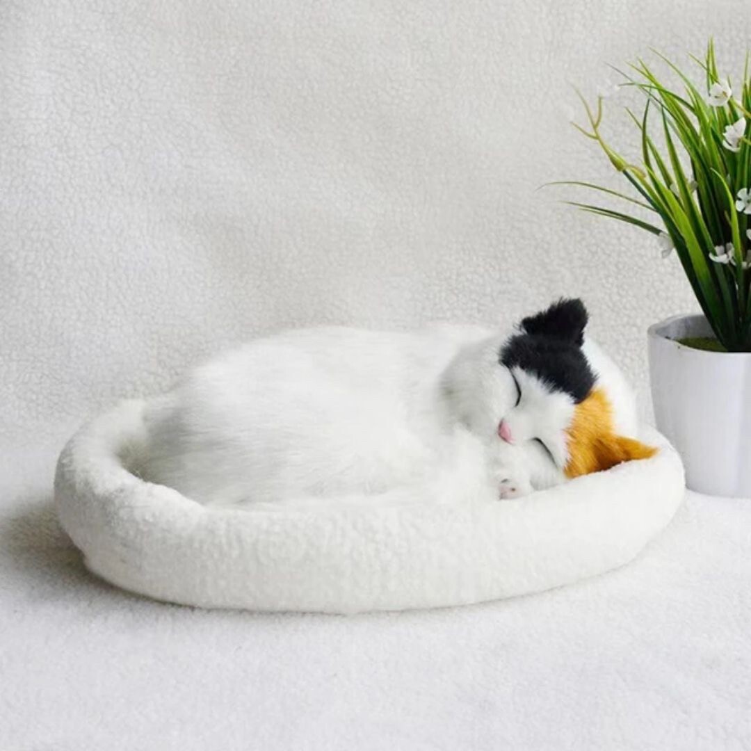 【白黒】インテリア クッションで寝る猫 3色カラー ネコ 抱き枕 動物 アニマル かわいい チャーミング おもちゃ ぬいぐるみ 誕生日 _画像3