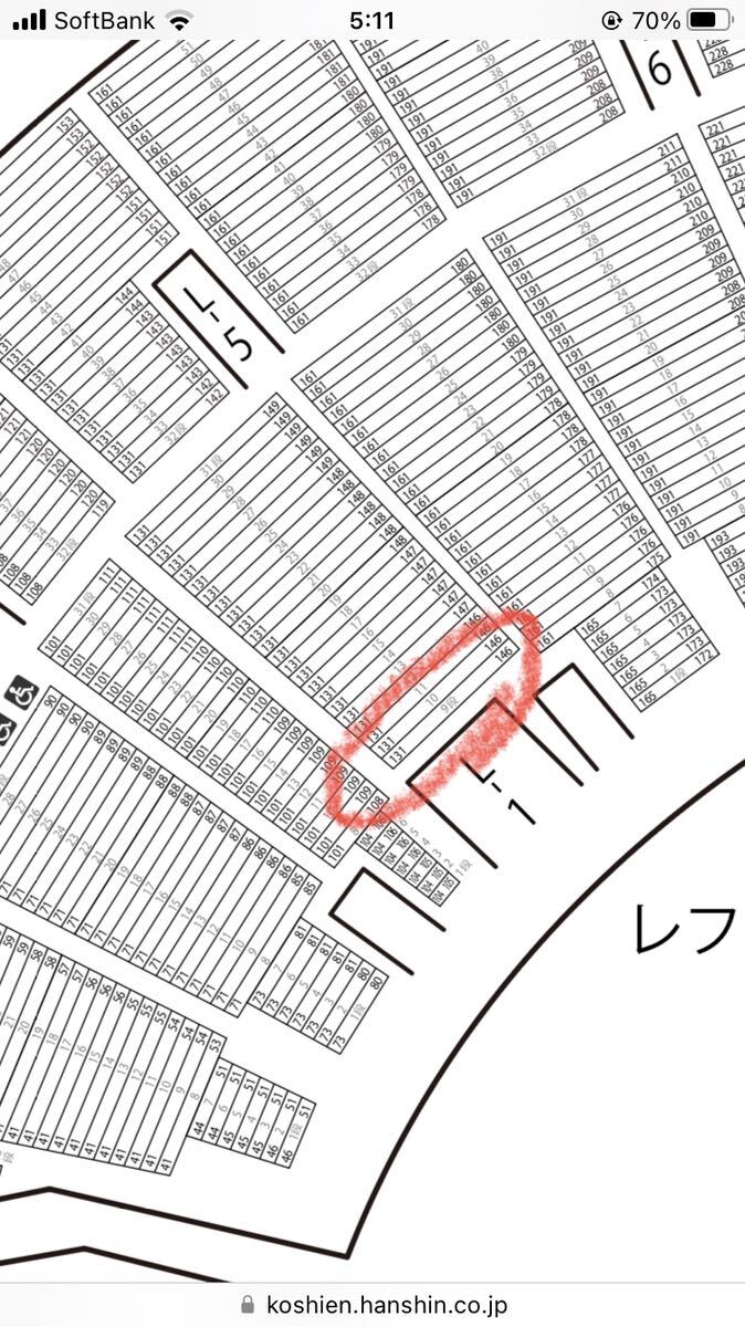 4/28 (日) 阪神対ヤクルト レフト外野指定席 ペアチケット ２枚セット 甲子園の画像2