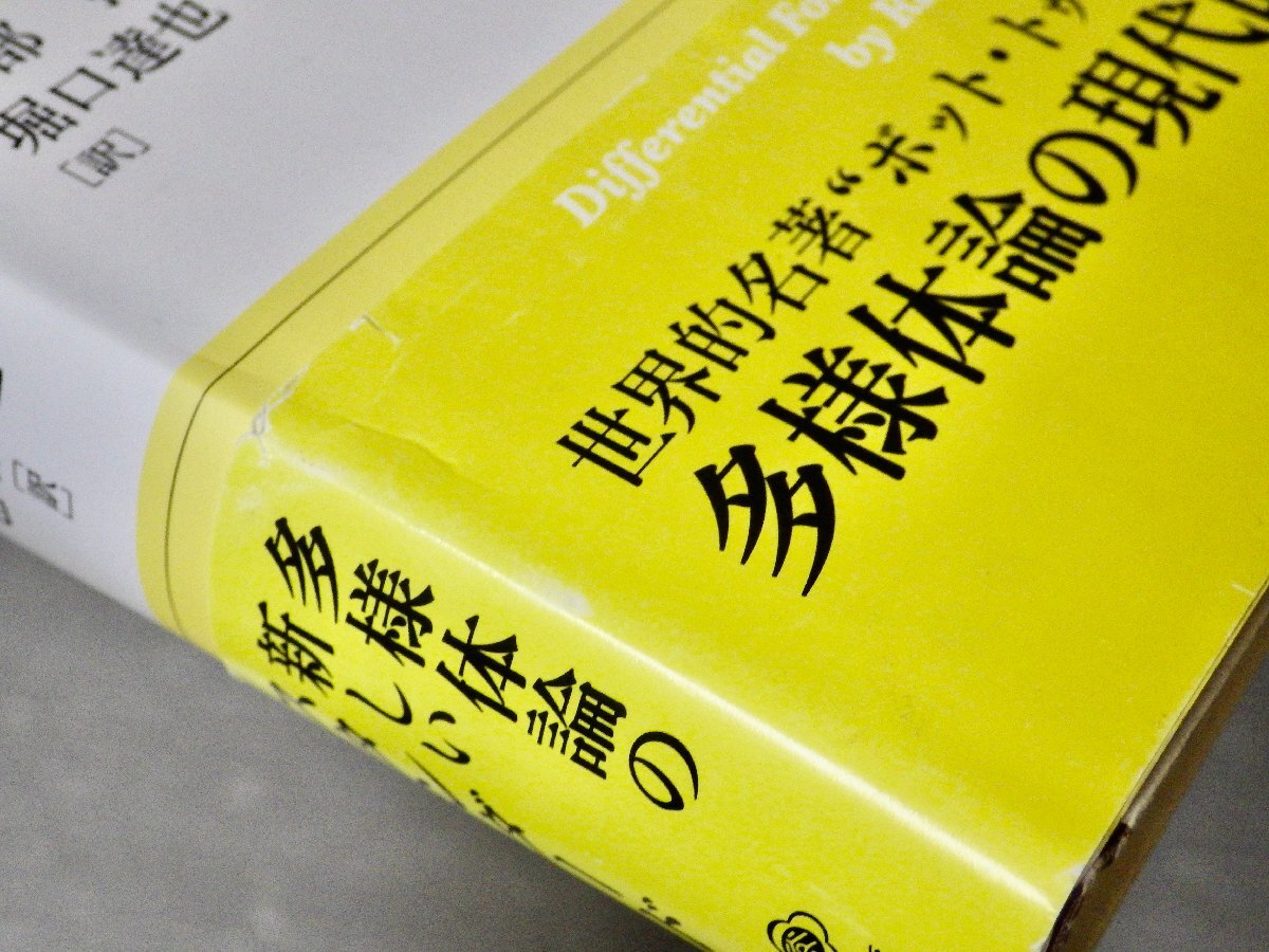 トゥー 多様体◆Loring W.Tu◆枡田幹也/阿部拓/堀口達也 訳◆裳華房/2019年◆数学/物理/ユークリッド空間/リー群/微分形式/ド・ラーム理論の画像8