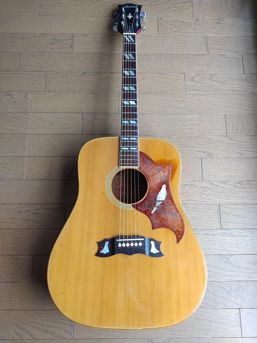 Aria Pro Ⅱ WD-35 Gibson Doveコピーモデル マツモク製か？の画像1