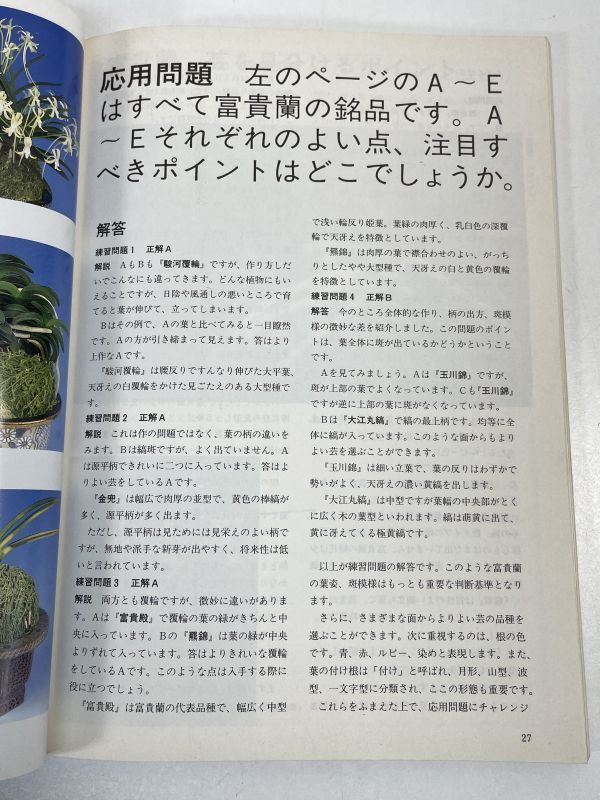 自然と野生ラン 1998年9月号　※ 富貴蘭 ダイモンジソウ ウチョウラン ギボウシ エビネ マツバラン ※ 園芸JAPAN　1998年 平成10【H74104】_画像3