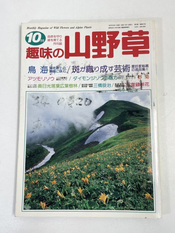趣味の山野草　1997年10月号　1997年 平成9年10月第18巻【H74100】_画像1