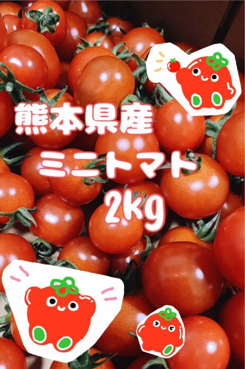 【 お買い得！農家直送で完熟新鮮 】 熊本県産 ミニトマト2kg