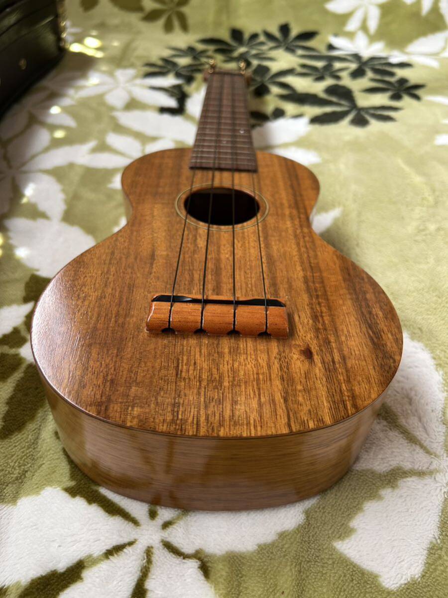 *Famousfei trout Ukulele ukulele FS-5 pineapple type soft case attaching made in Japan super-beauty goods 