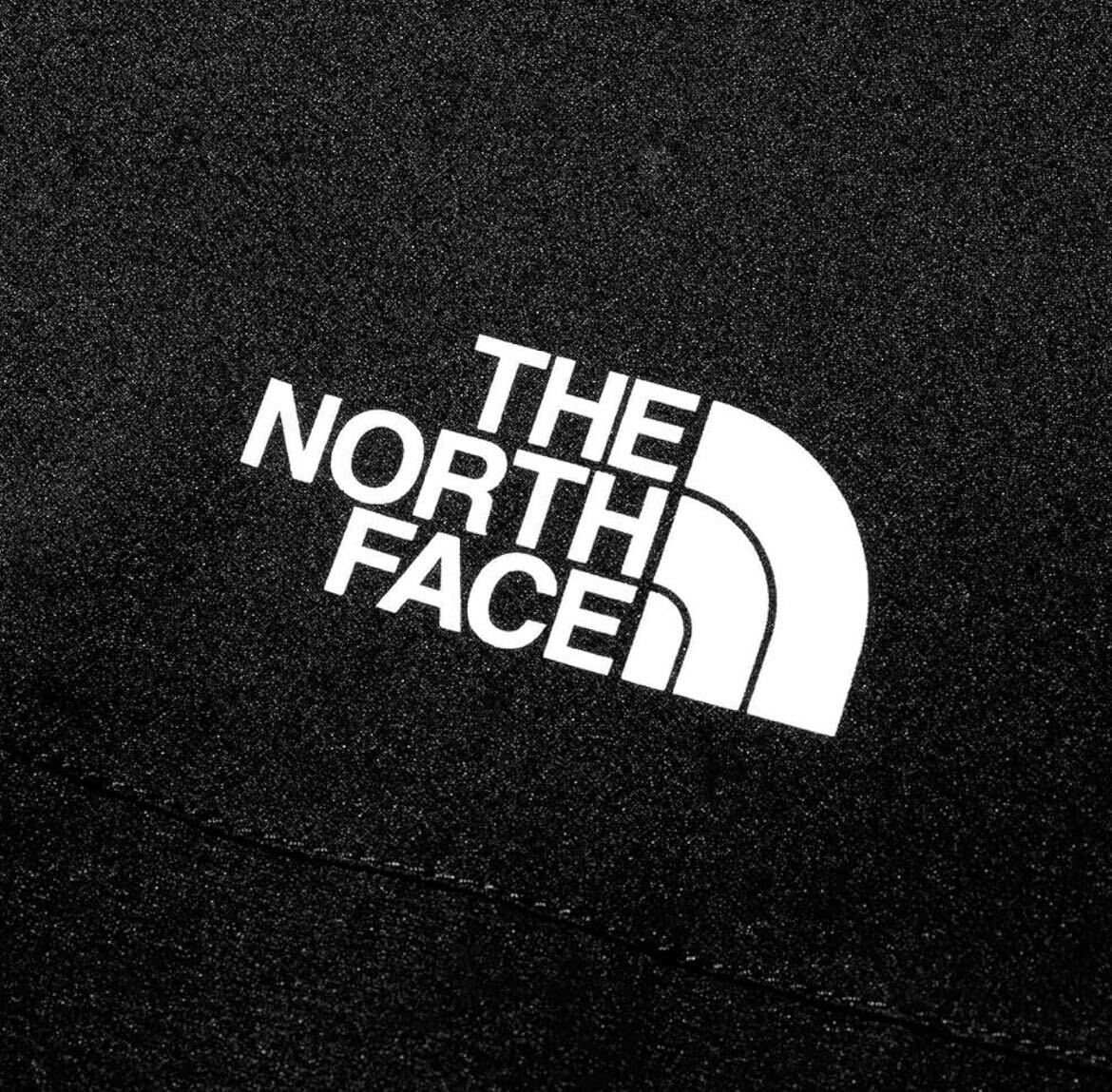 【美品】THE NORTH FACE(ザノースフェイス)サイズL メンズベンチャージャケット 防水 防風 軽量 NP12306 レインの画像3