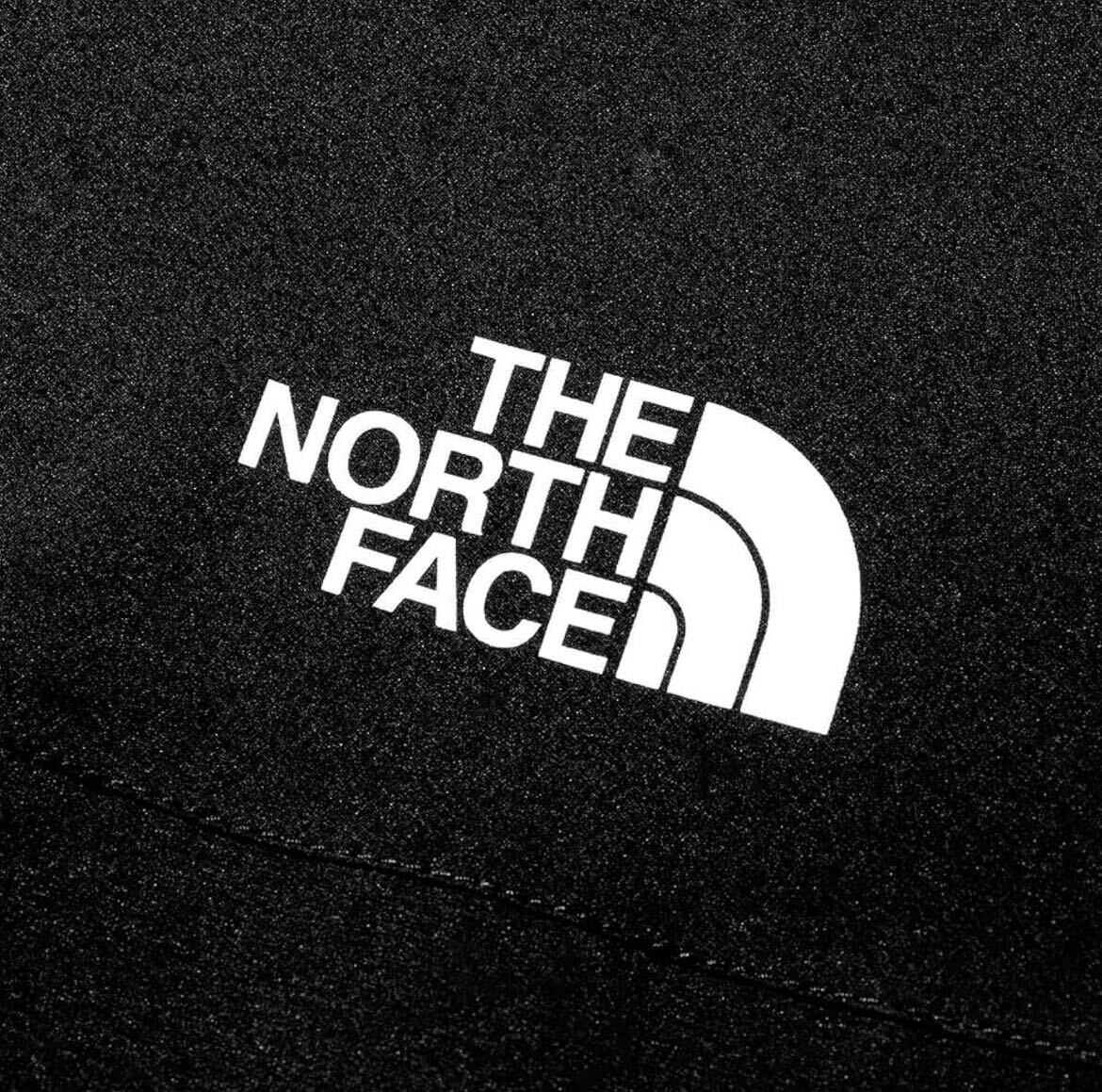 【未使用タグ付】THE NORTH FACE(ザノースフェイス)メンズ サイズL ベンチャージャケット メンズ 防水 防風 軽量 NP12306の画像3