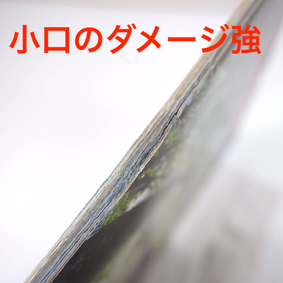 Coralway 1998年真南風号「やんばるの森」塚谷裕一 椎名誠 水納島 タクシー運転手 石垣島 池澤夏樹 タクシー コーラルウェイ JTA機内誌_画像6