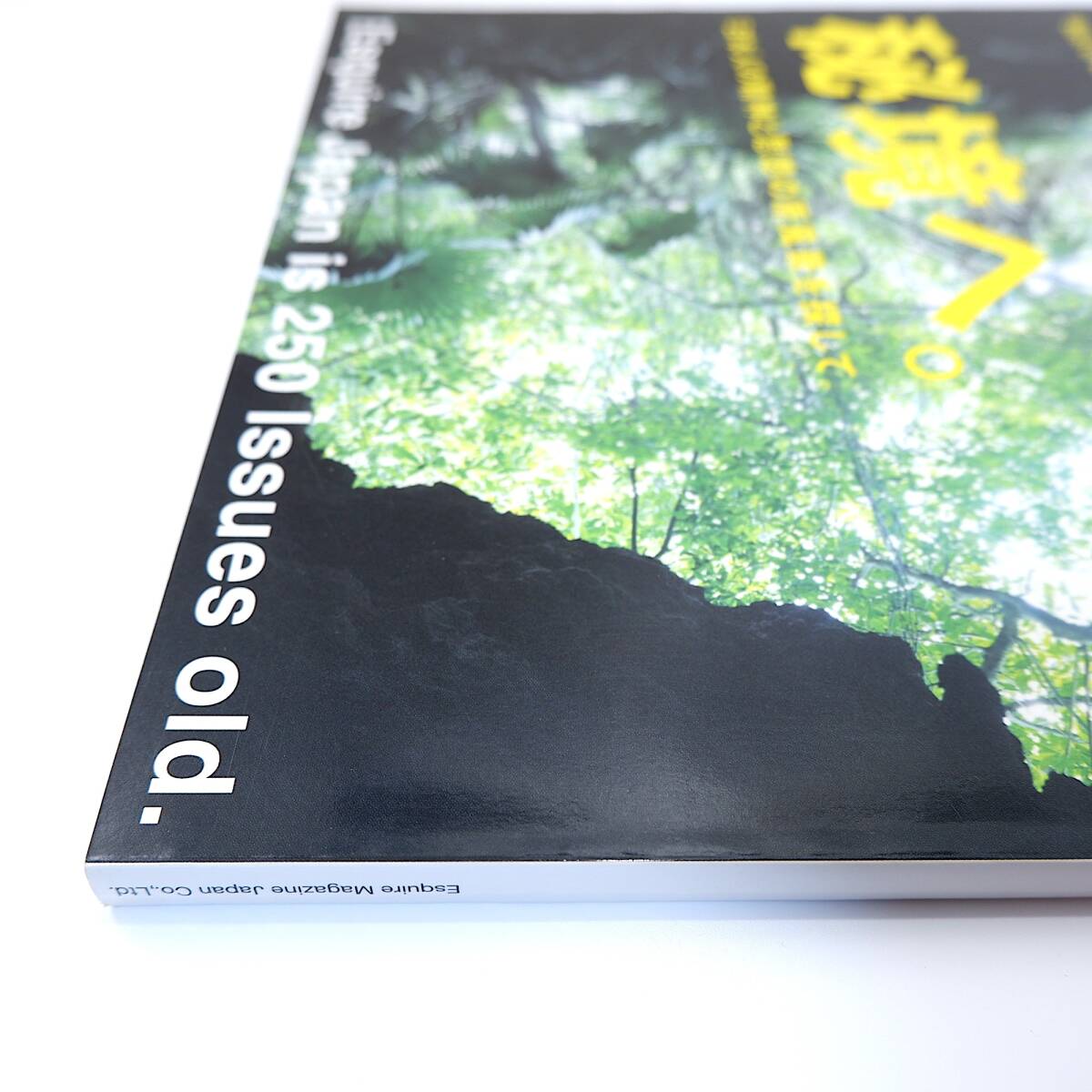 Esquire 2008年7月号／秘境へ 高千穂 祖谷 布施英利 松江泰治 秘境駅 石川直樹 諸岡なほ子 斎藤潤 椹木野衣 川村湊 松居竜五 エスクァイア_画像3