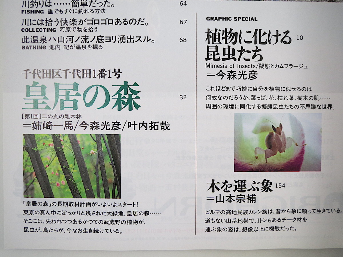 SINRA 1994年9月号「川の七つの楽しみ」沢歩き 料理 荒川じんべい カワセミ 温泉 池内紀 皇居の森 今森光彦 カレン族 カカバン シンラ_画像7