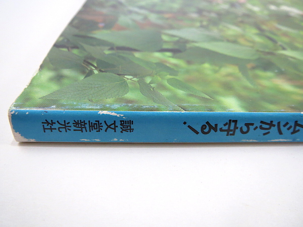 HERB 1998年6月号／イギリスの庭園 ハーブを虫から守る 青森・岩木山 中国酒 神経疲労にビタミンメニュー 吉田集而 竹 加古川・OAK_画像2