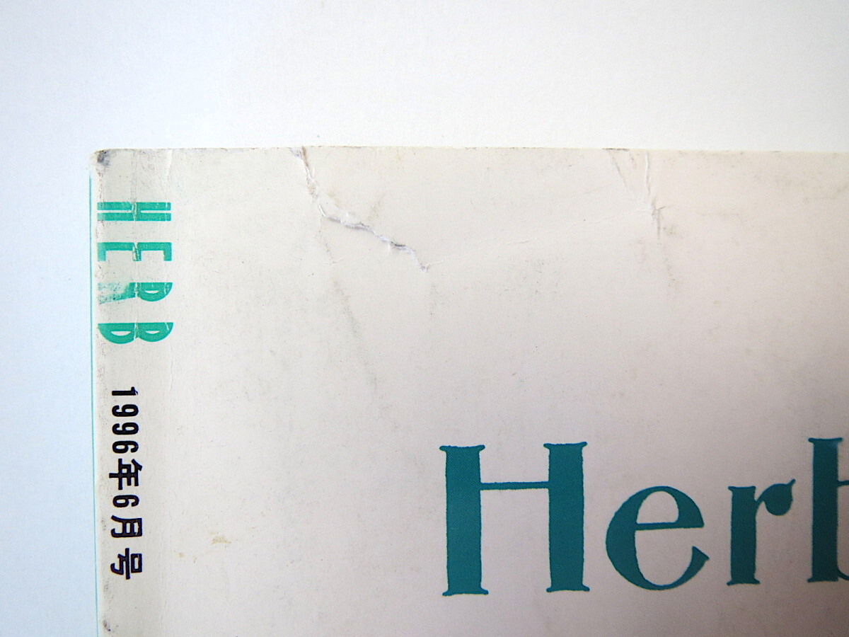 HERB 1996年6月号／最近人気のハーブ30選 狩野利明 オールドローズ トルコ 対談◎尾上豊・熊井明子 群馬・草津町 タイ アジサイ 北見_画像6