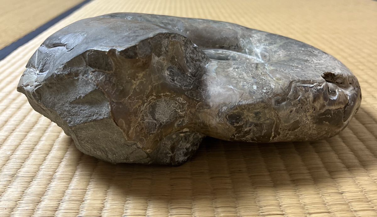 化石 アンモナイト 9kgの画像10