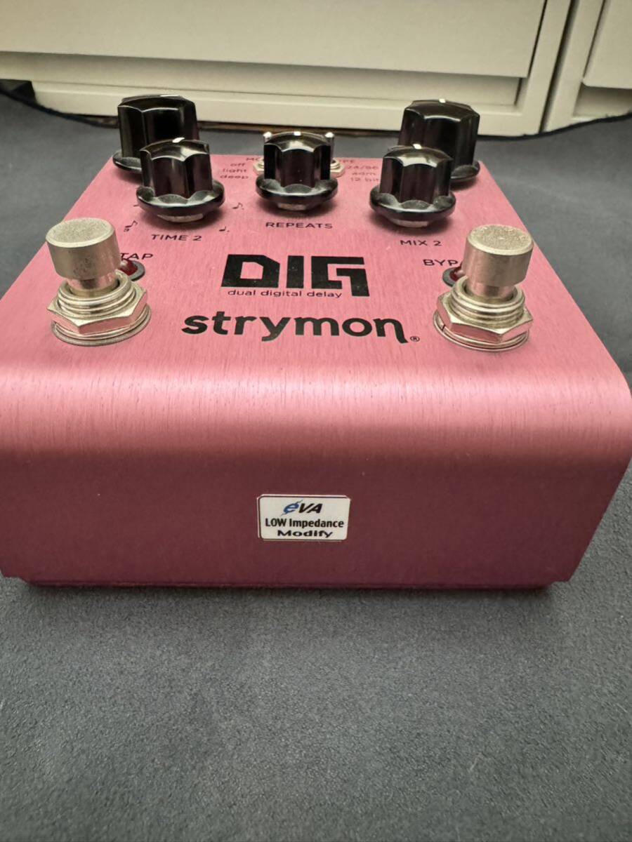 strymon DIG eva電子mod 中古の画像2