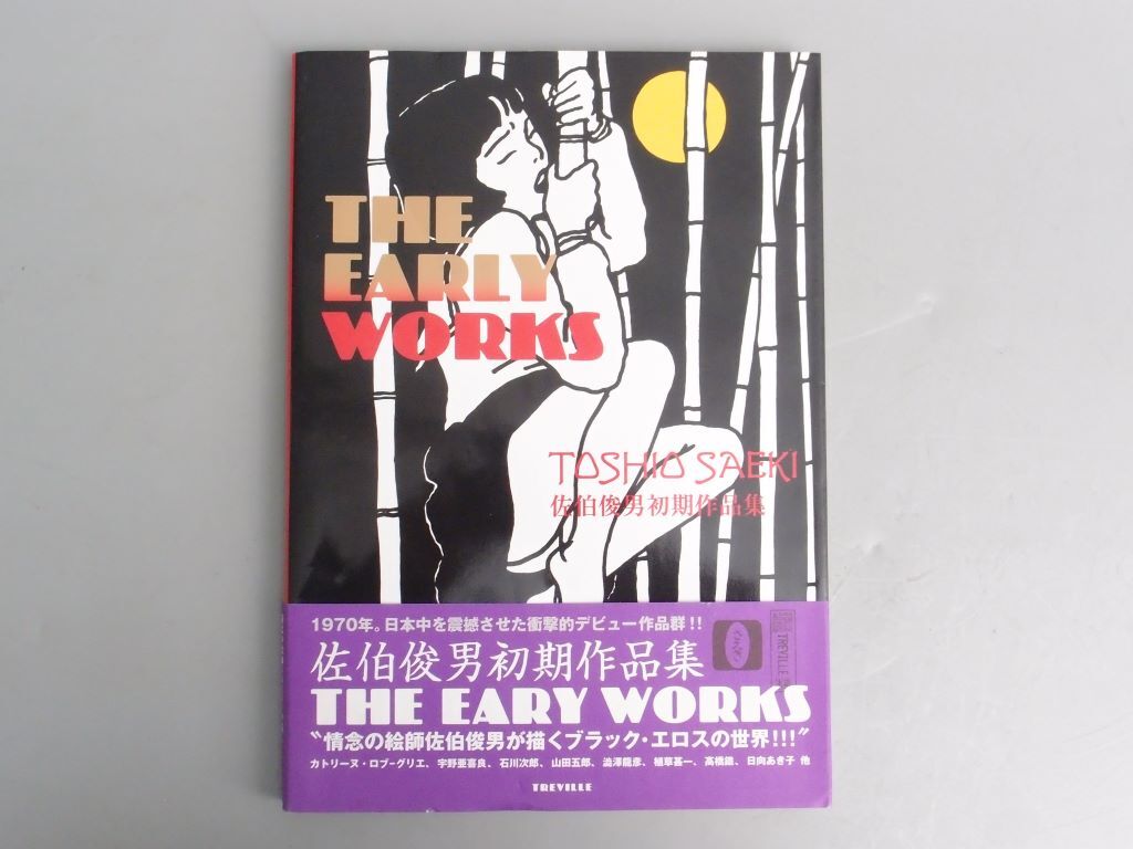 佐伯俊男初期作品集「THE EARLY WORKS」画集の画像1