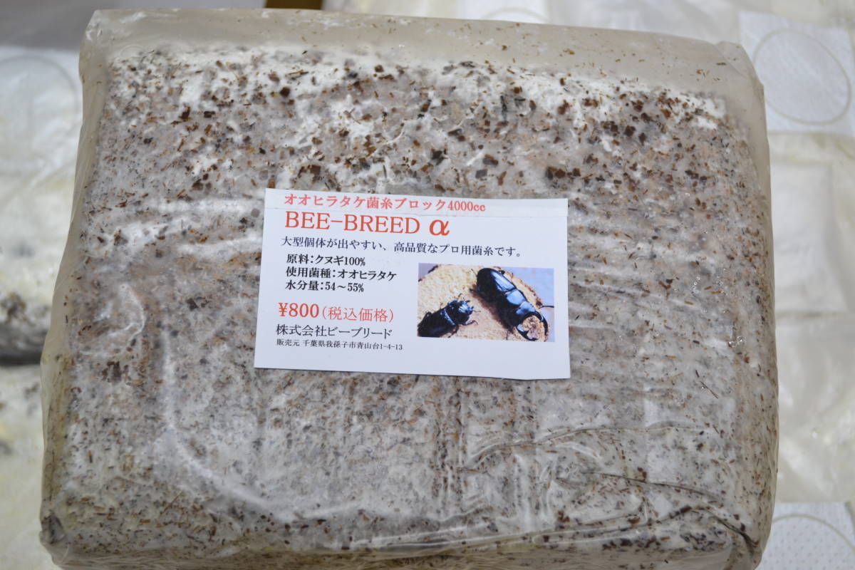 オオヒラタケ菌糸ブロック 4000cc 7ケセット BEE BREEDの画像2