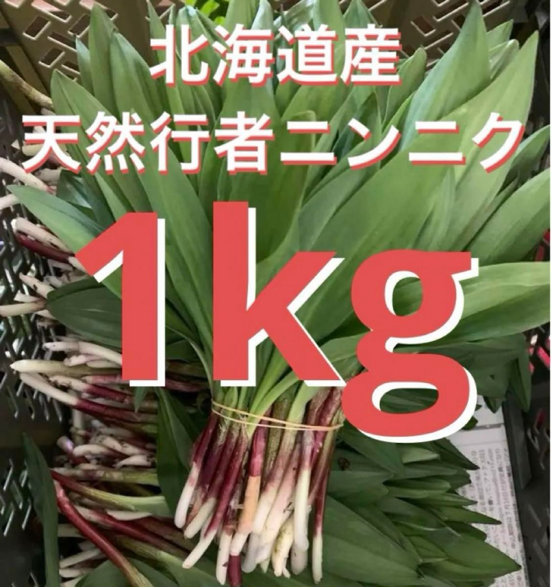 北海道産　行者ニンニク1kg