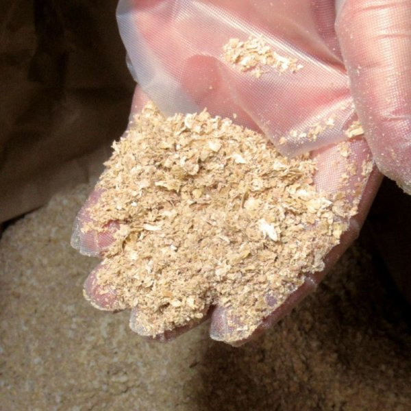 小麦ふすま 910g 無農薬 ミルワーム 餌 ハムスター 床材の画像3