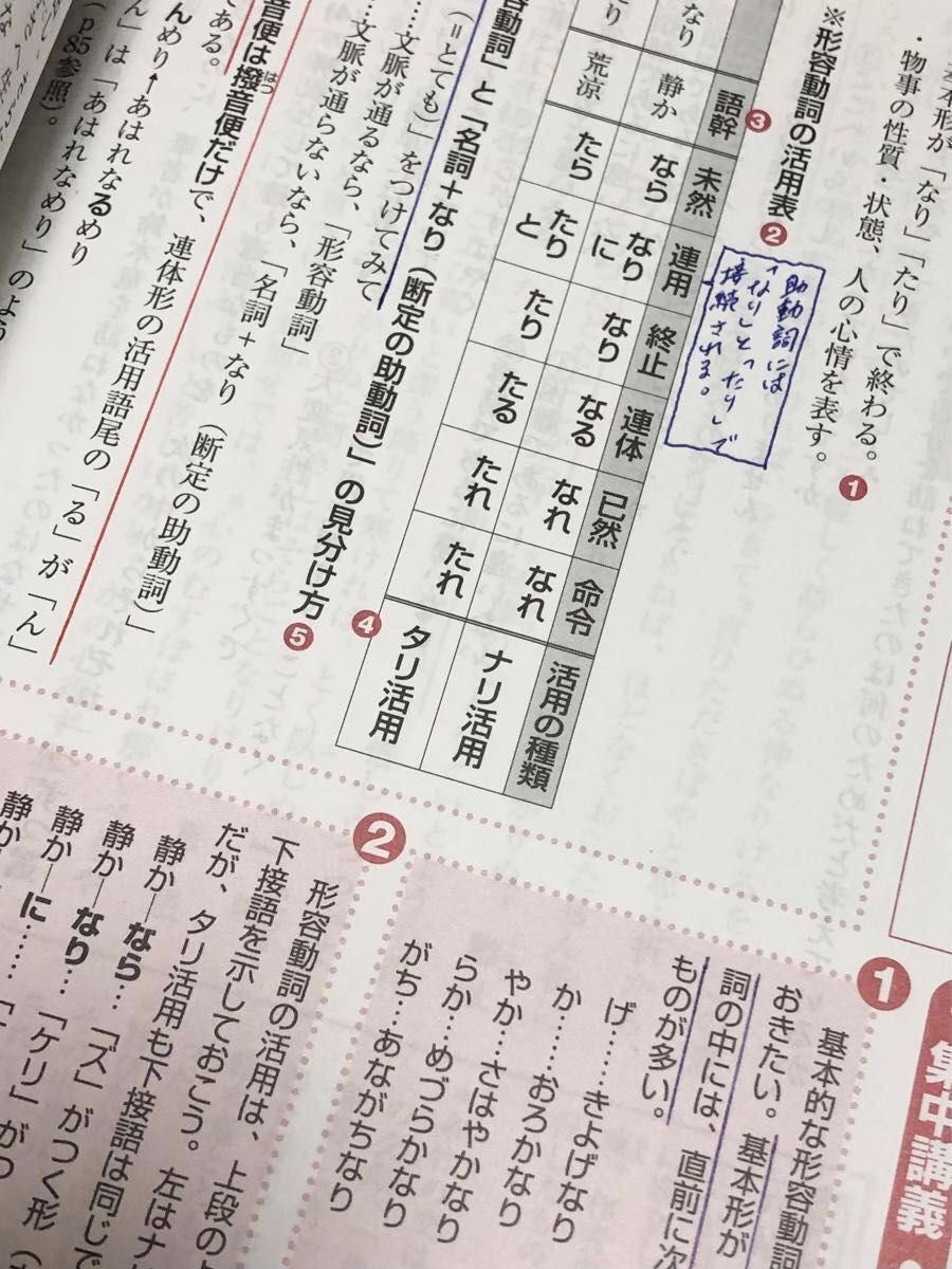 【53】古文単語ゴロゴ プレミアムプラス　と　古文上達　基礎編　読解と演習４５ 仲　光雄　著　２冊セット