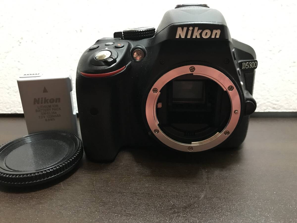ニコン Nikon D5300