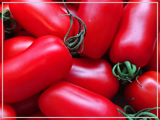 ［送料無料・オーガニック・種］イタリアントマト 10粒 農薬不使用 固定種 _イタリアントマトのイメージ