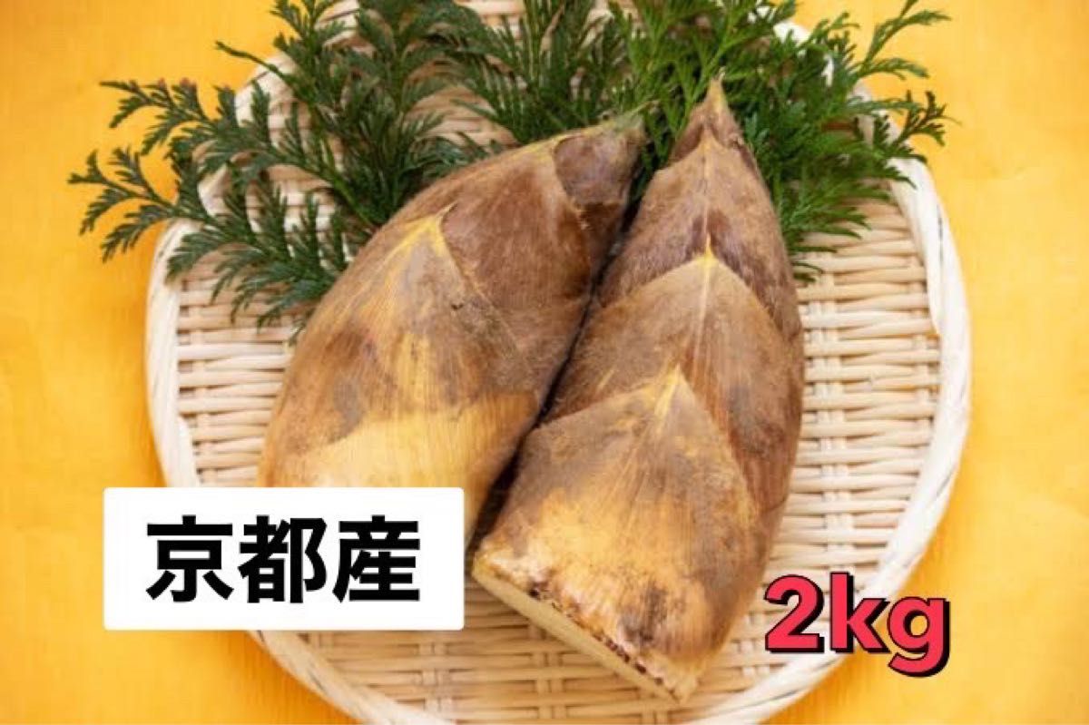 京都産　たけのこ　2kg 米ぬか付き