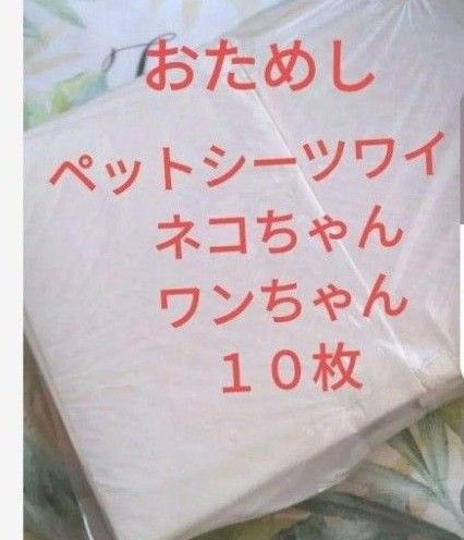 ペットシートワイド　ワンちゃんネコちゃんお試し１０枚セット