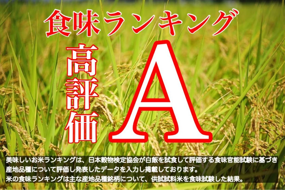 【農家直送新米！】精米済み 20キロ 新潟県産こしいぶき 特別栽培米 5年産 低温冷蔵