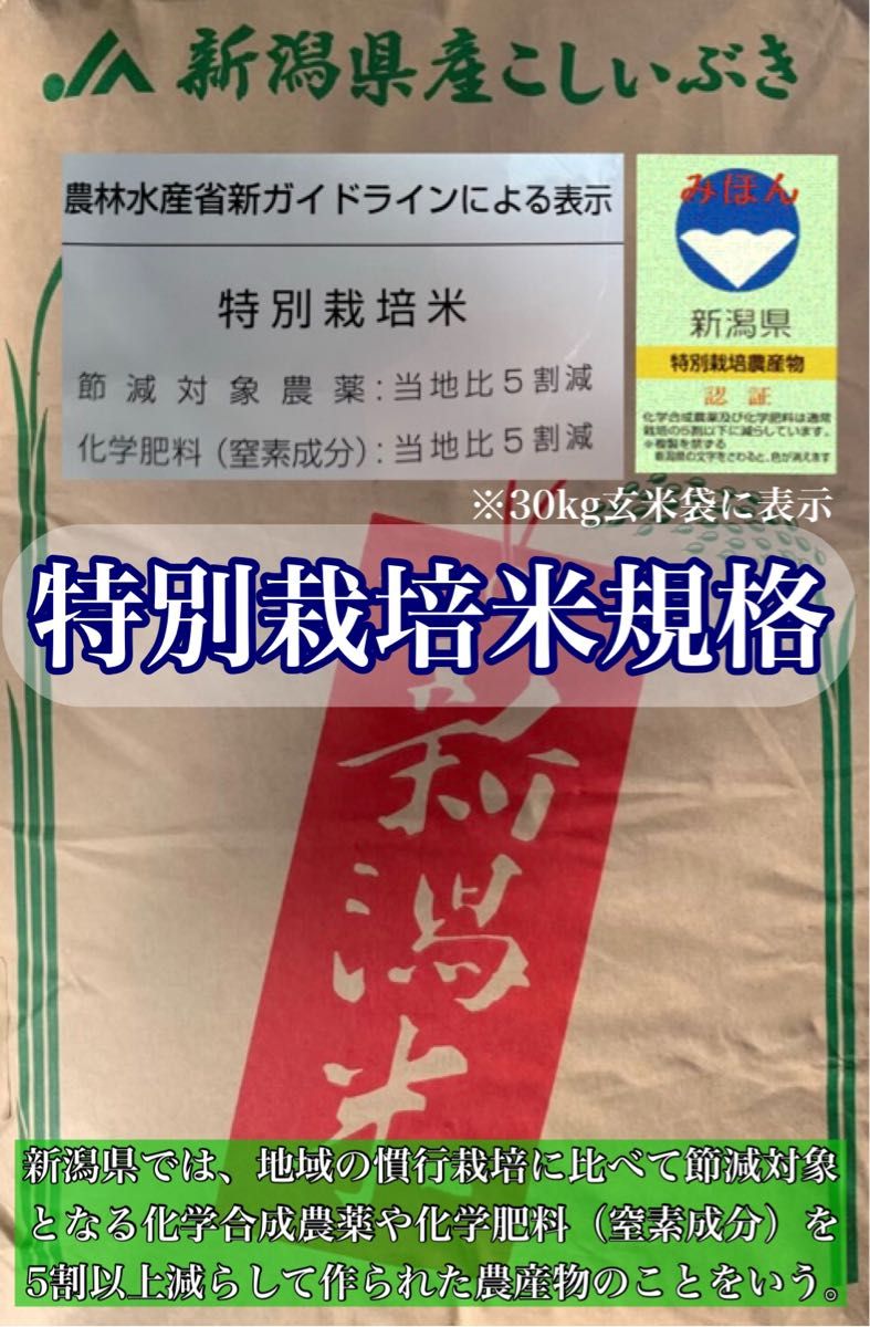 【農家直送新米！】精米済み 20キロ 新潟県産こしいぶき 特別栽培米 5年産 低温冷蔵