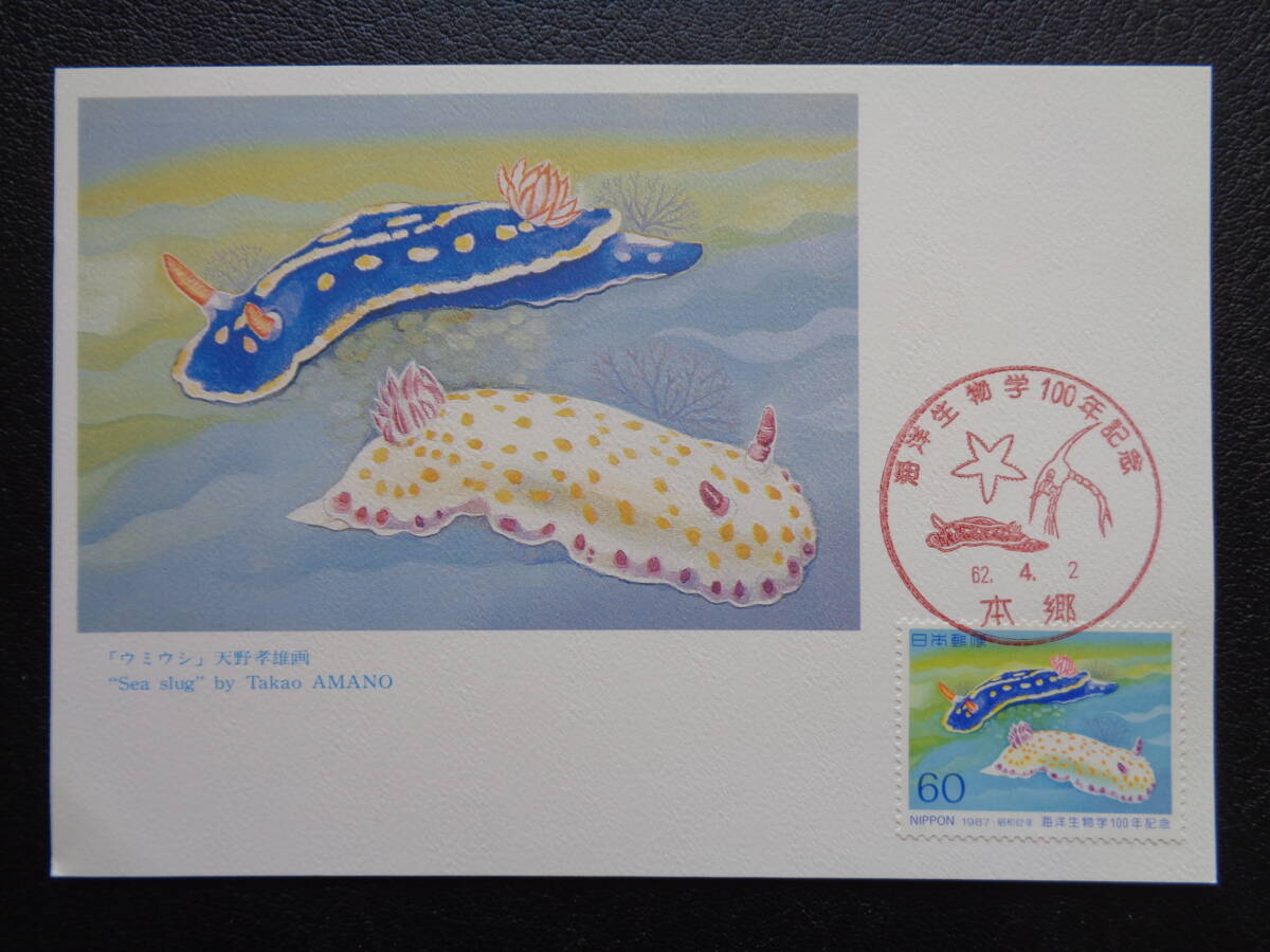 マキシマムカード   1987年   海洋生物学１００年  本郷/昭和62.4.2   MCカードの画像1