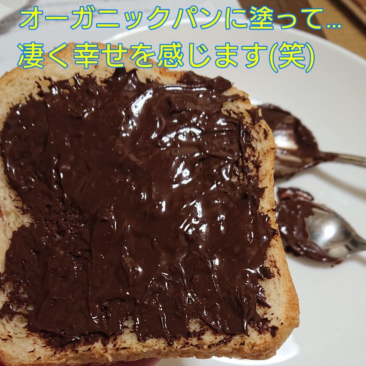 幸福感が凄すぎます！ローシク オーガニックチョコレートペースト！※複数購入でお得に！