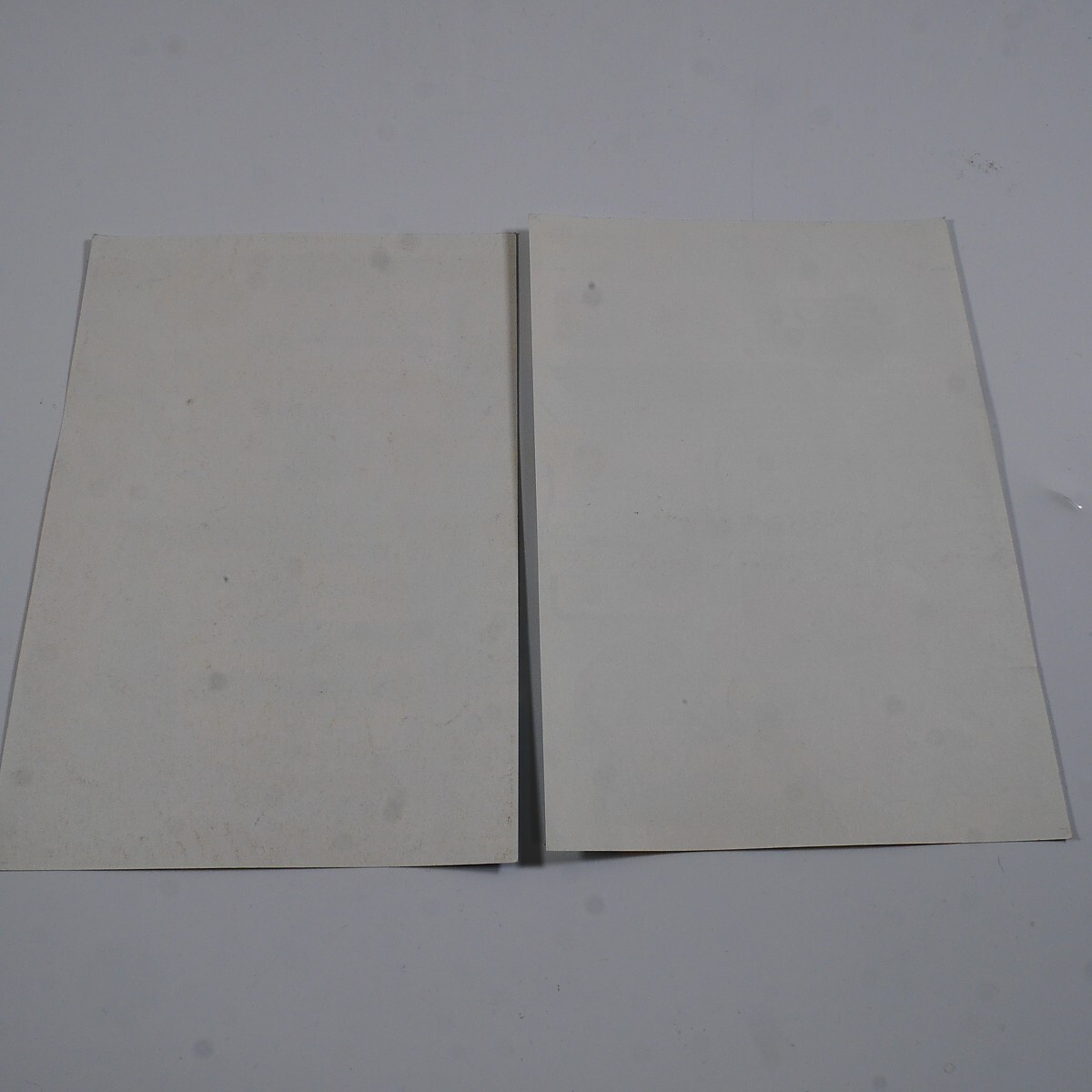 シール痕無し 純正インストラクションカード（小サイズ 2枚） ストリートファイターゼロ CAPCOMの画像2