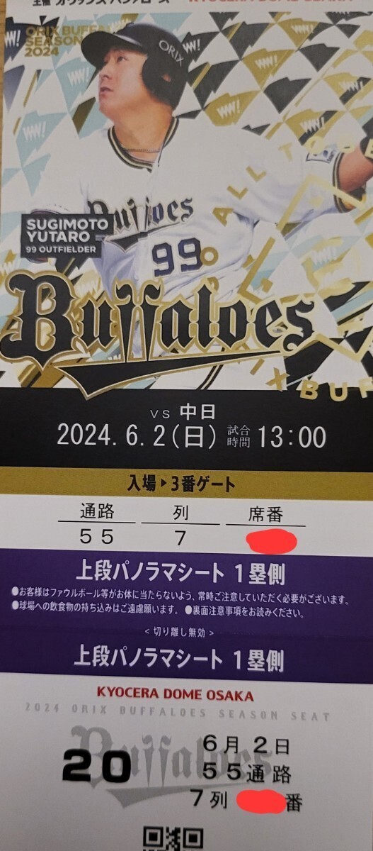 交流戦 半値スタート 6月2日 パノラマシート 1枚価格 オリックス対中日ドラゴンズ 上段前通路②の画像1