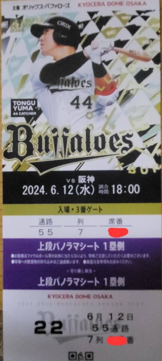 交流戦 定価以下スタート 6月12日 パノラマシート 1枚価格 オリックス対阪神タイガース 上段前通路の画像1