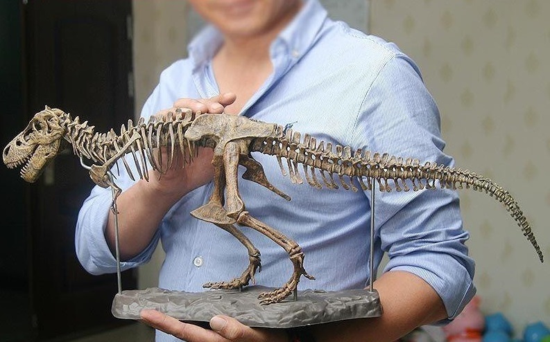 新入荷 生き物 70cm ティラノサウルス レックス ジュラシック 大恐竜 化石 骨 モデルキット プラモデル キット 組み立て式の画像1